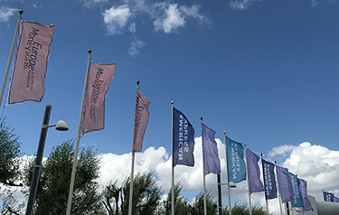 开云体育网址入口