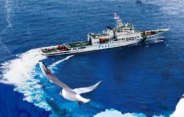 开云体育下载网址